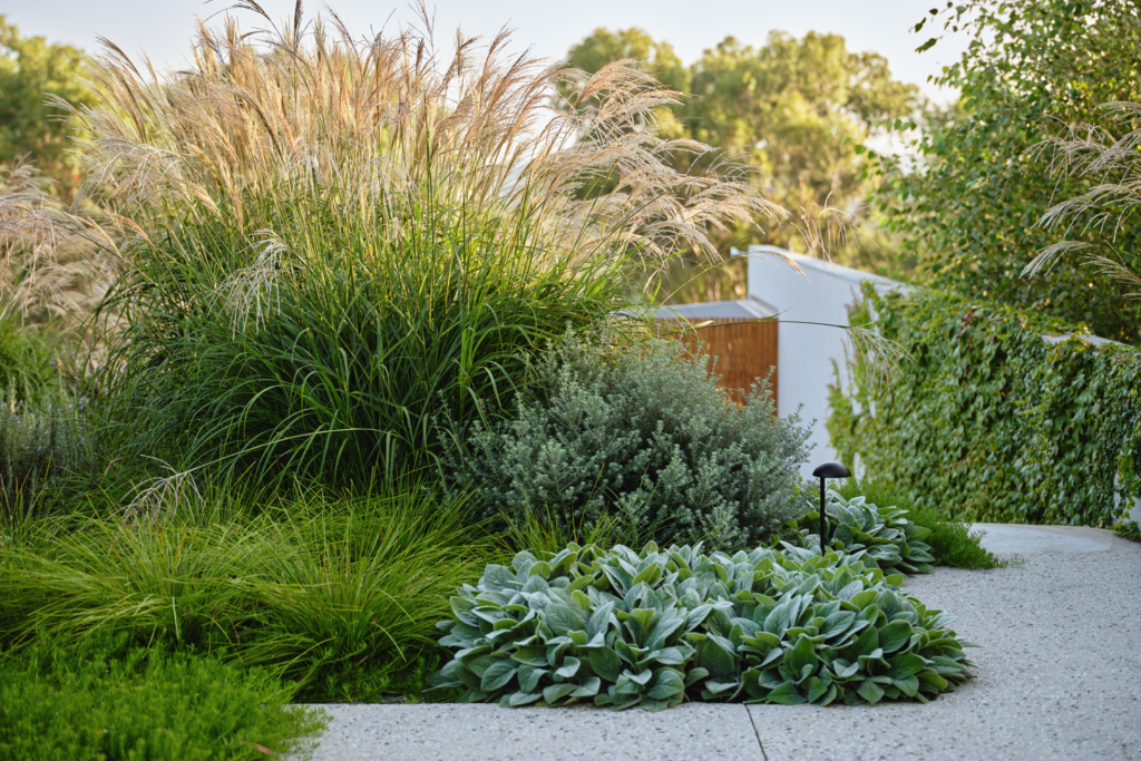 Soft landscaping Josh Norman Landscapes