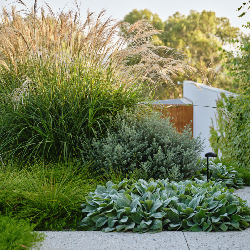 Soft landscaping Josh Norman Landscapes